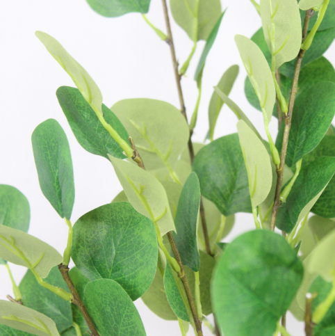 Green Silver Dollar - Realistic Artificial Flowers and Greenery - Image 3