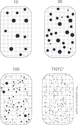 Schema of comparison charts showing the number of colony-forming units