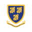 Saintfield Cricket Club logo