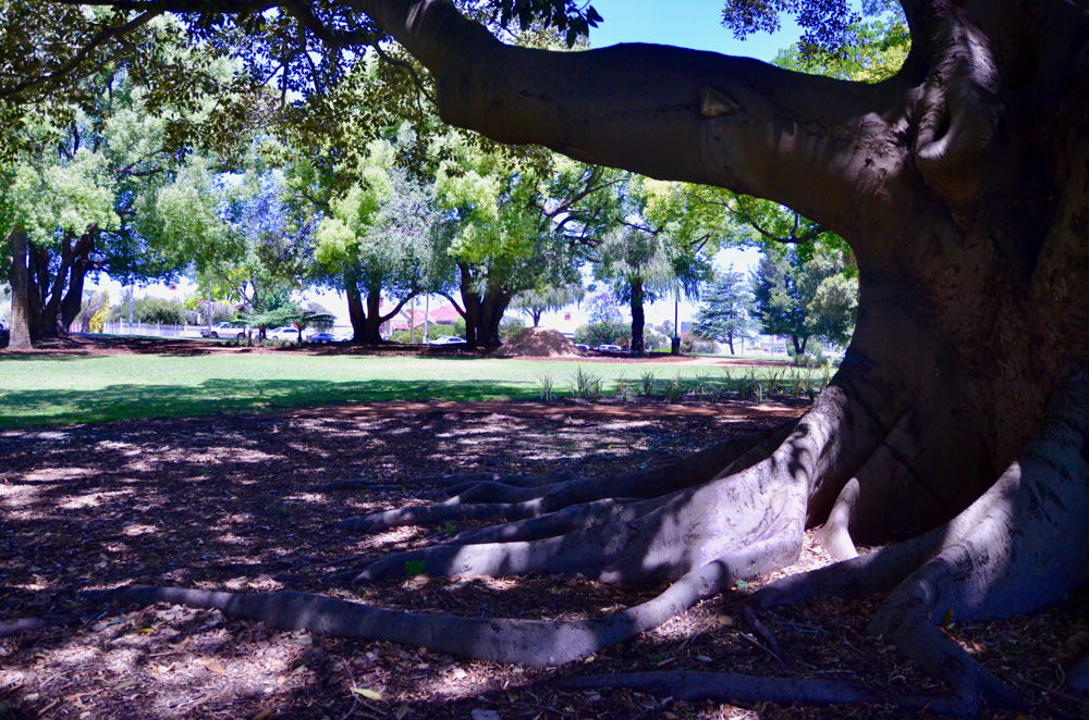 Hyde Park (HP 6)