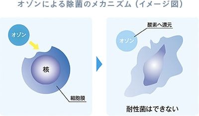 除菌テスト結果