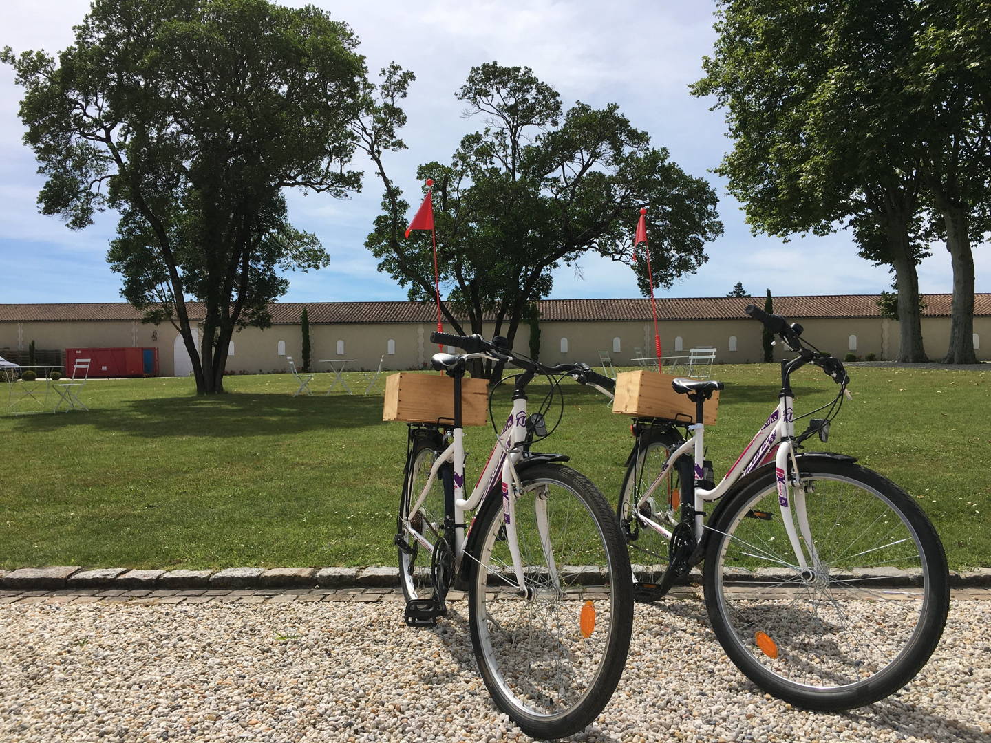 mountain bike elettrica