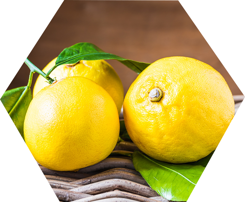 Calabrian bergamot fruits resting on a woven surface