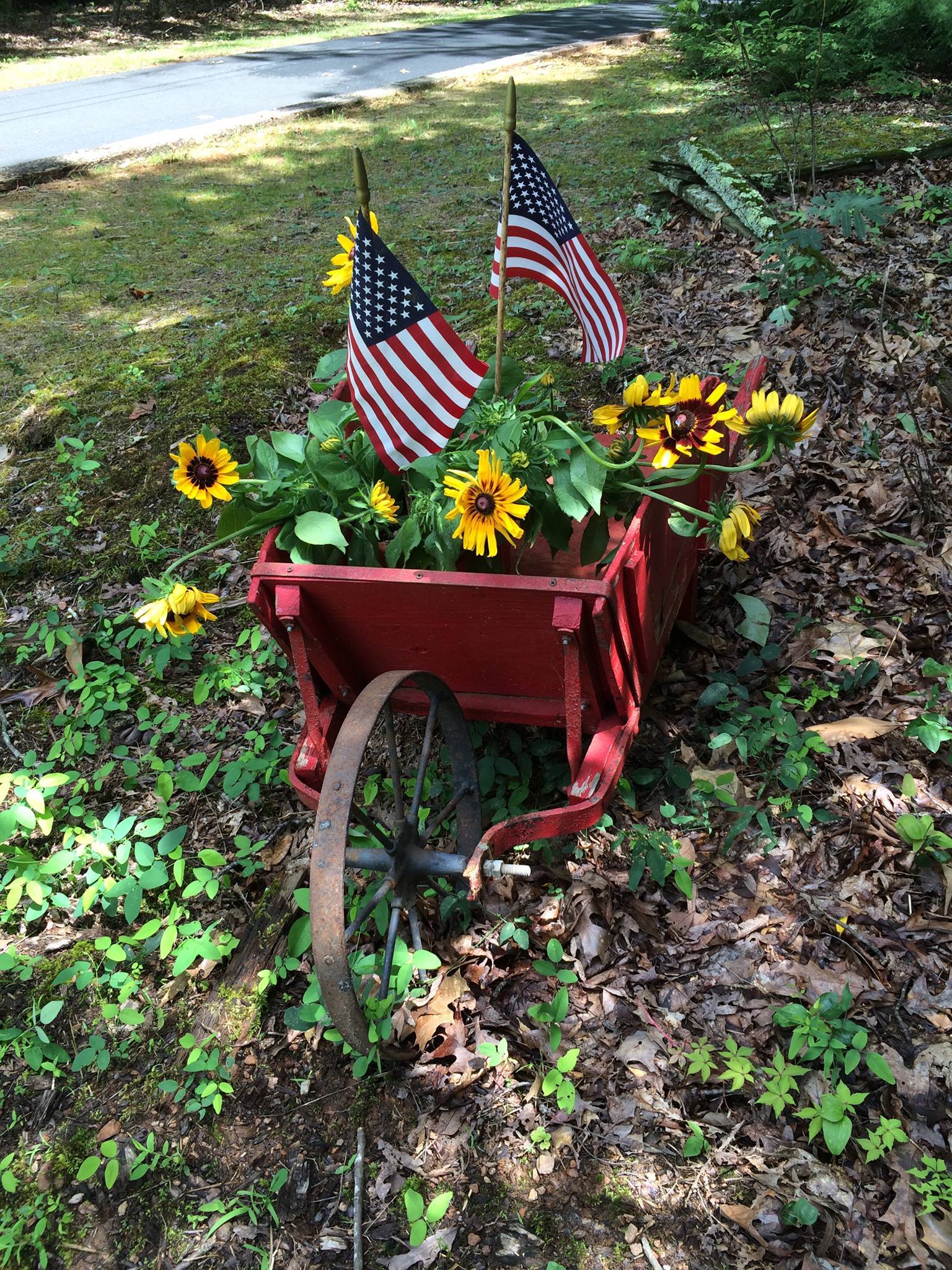 Estate Sales Over Georgia
