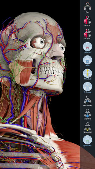 Free Anatomy Software For Mac