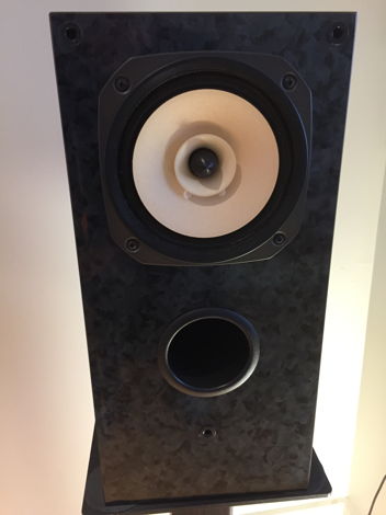 Omega Speaker Systems Grande 6