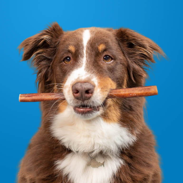 Pet Expertise™ Collagen Chew