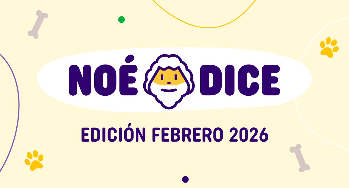 Noé Dice - Edición Enero 2026