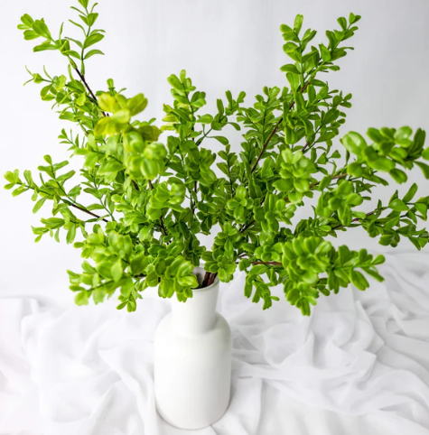 Brush Box - Realistic Artificial Flowers and Greenery - Image 3