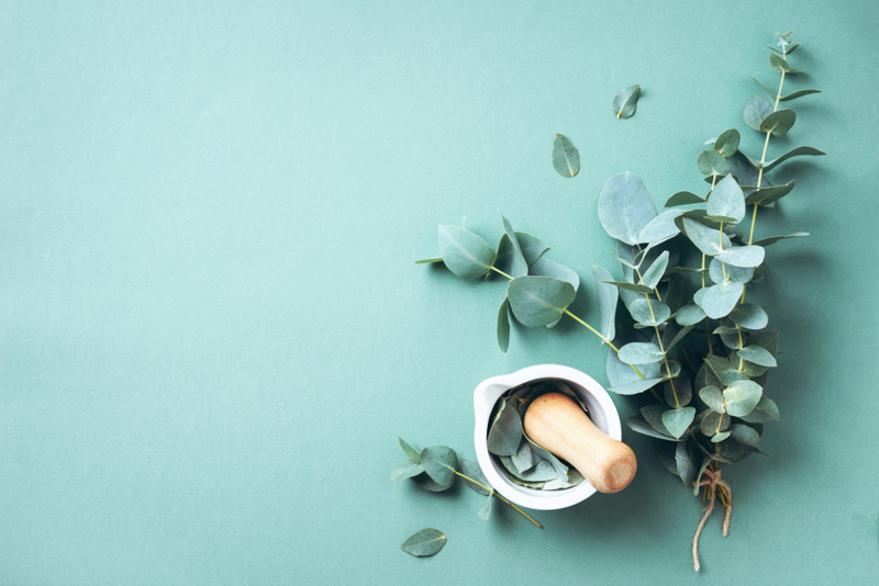 The Mind Body Connection: Aromatherapy, Massage, and Stress