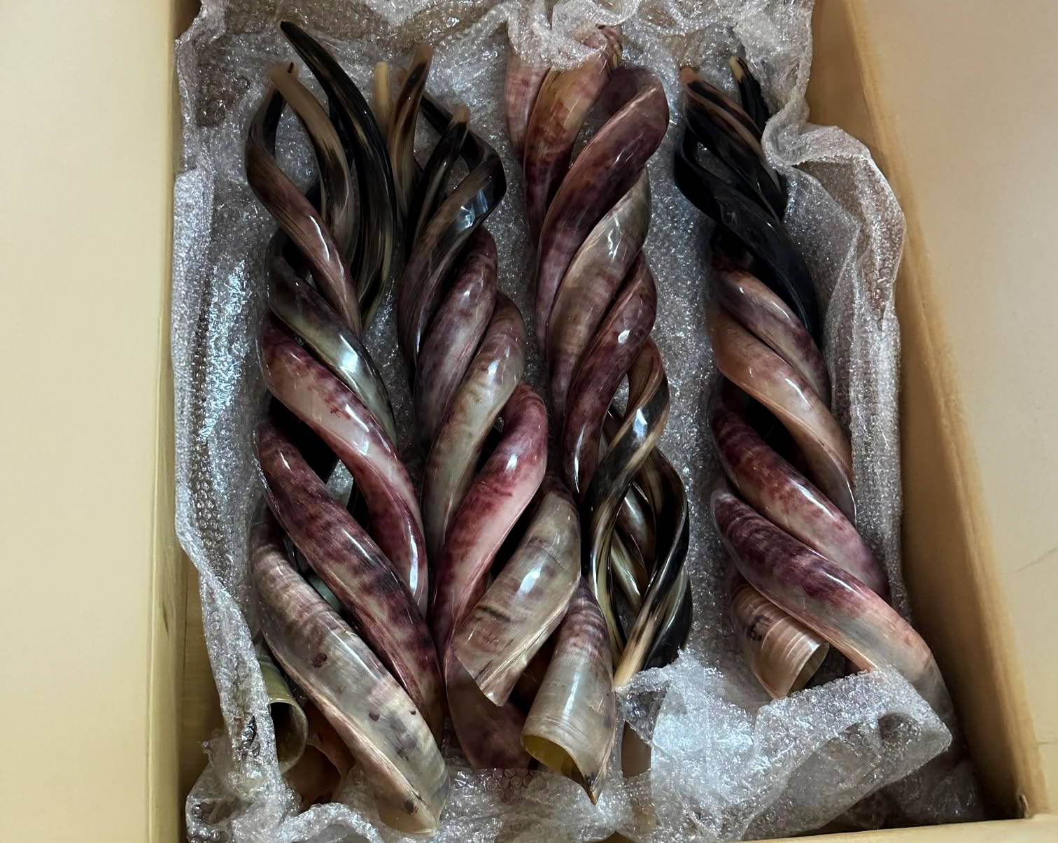 Wholesale Kudu shofar horns and polished yemenite