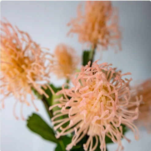 Pink Leucospermum - Realistic Artificial Flowers - Image 4