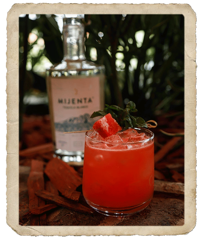 Tequila cocktail garnished with watermelon cubes in the foreground and Mijenta Blanco Tequila bottle in the background