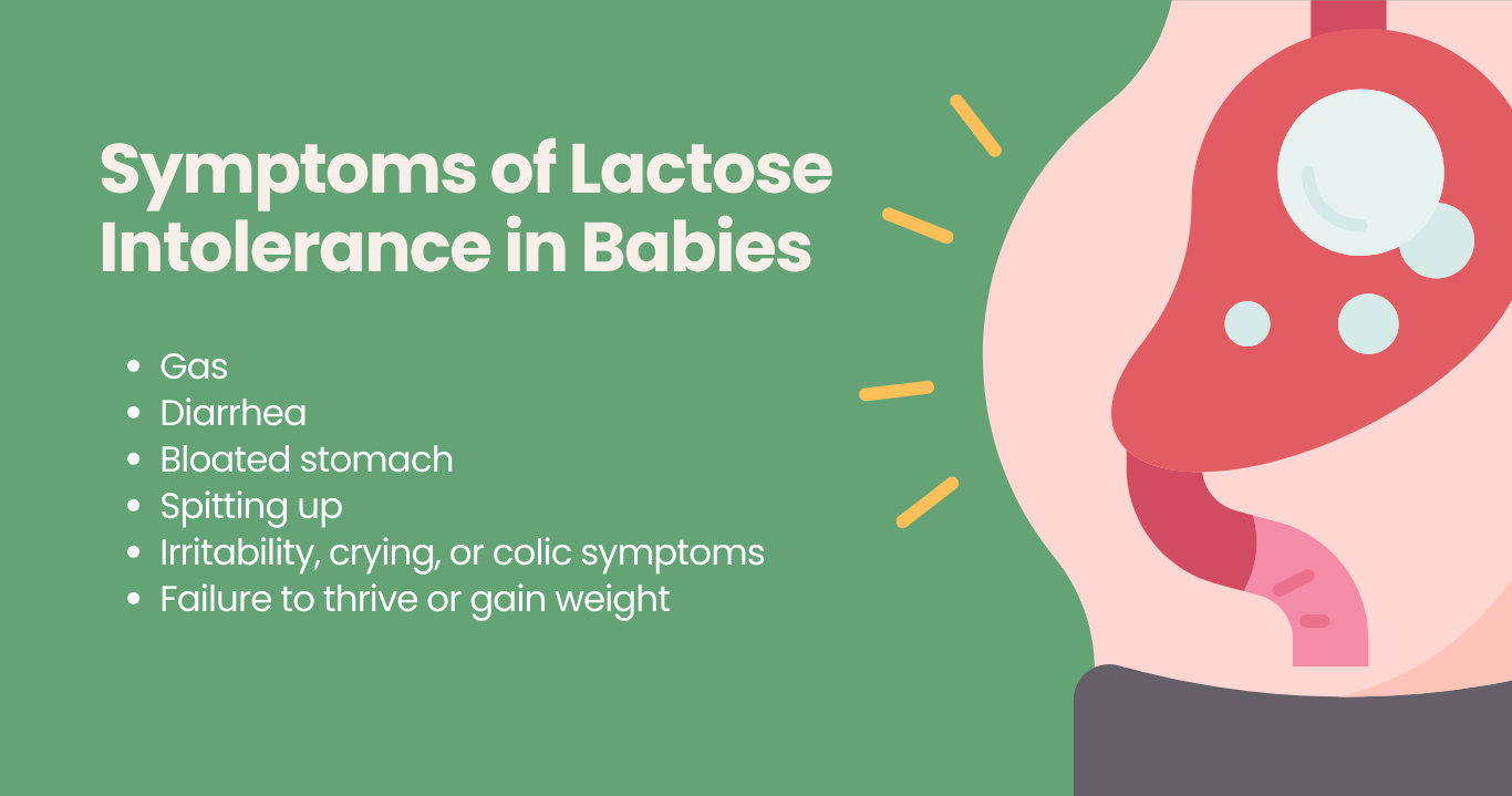 Lactose Intolerance in Babies | My Organic Company