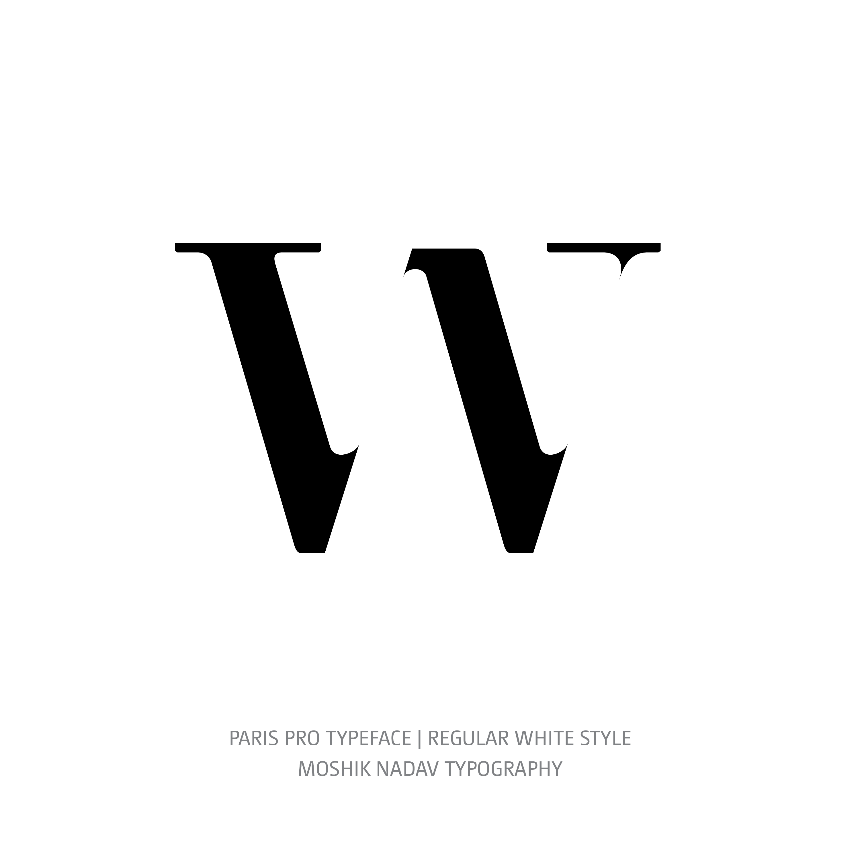 Paris Pro Typeface Regular White w