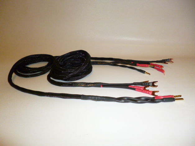 Schmitt Custom Audio Reference 100 "X" Bi-Wire Speaker ...