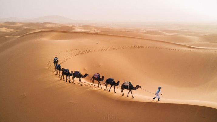For a unique experience, you can even go on a camel trek and explore the desert landscapes surrounding the city