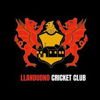 Llandudno Cricket Club Logo