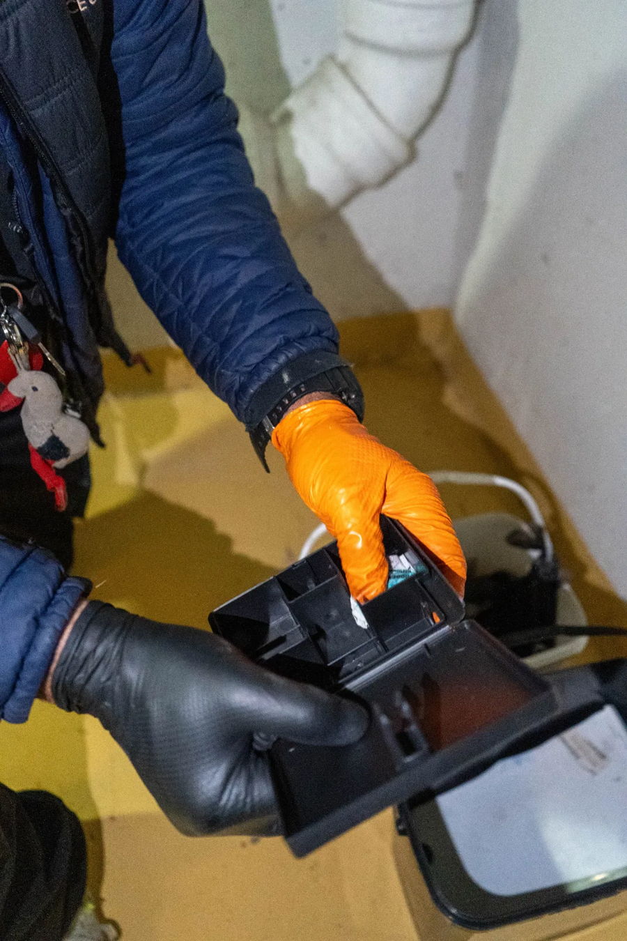 Dératisation à Clichy : Expertise HEC au service de la salubrité — photo 4