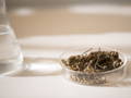 Achillea Millefolium in the lab