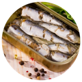 a can of sardines that provide vitamins in the best calcium supplement