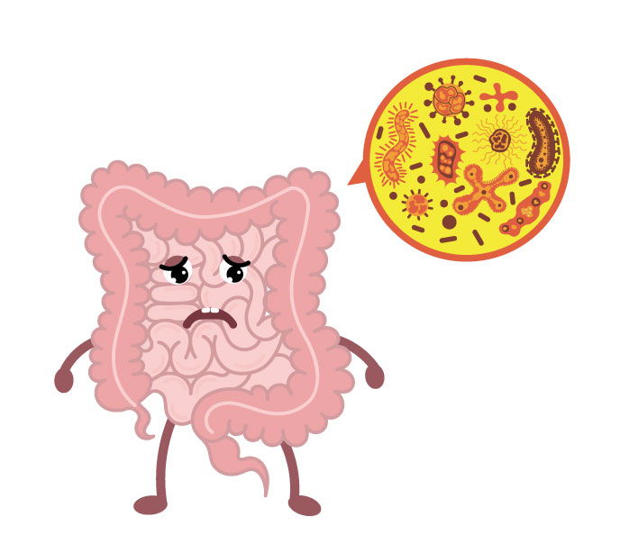 The Carnivore Diet for Gut Health & Autoimmunity -