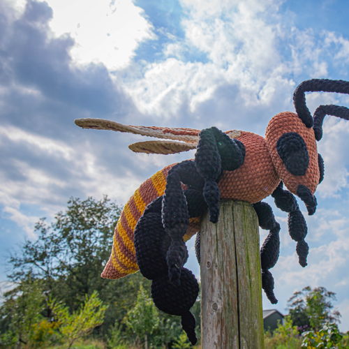 3-in-1-bundel: libel, honingbij, sprinkhaan