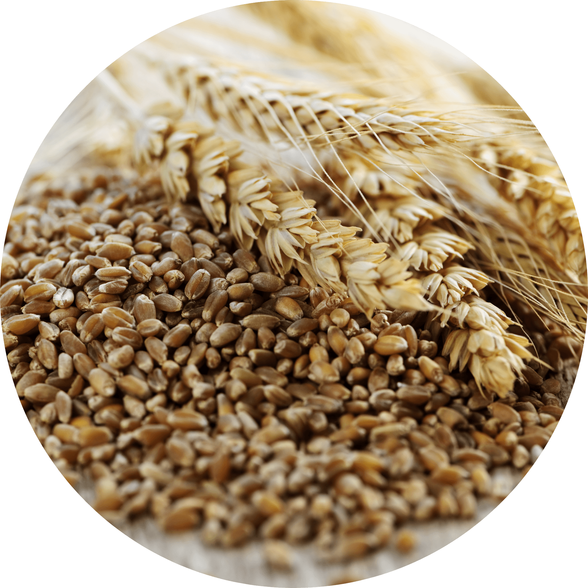 Magnesium Glycinate Singapore food sources