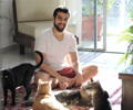 man with many cats sits on floor in living room