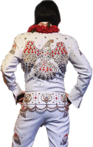 All Shook Up - Tribute to the King