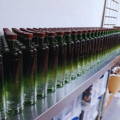 Bouteilles remplies de Gin attendant d'être étiquetées à la distillerie Highland Liquor Company à Ullapool dans le nord-ouest des Highlands d'Ecosse