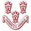 Thorpe Arnold Cricket Club logo