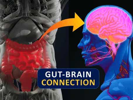 The Importance of Gut Health for Mental Health