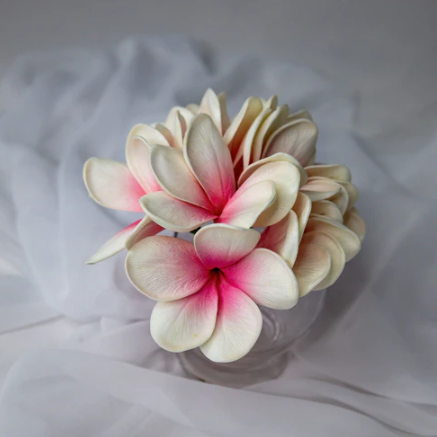 White Pink Frangipani Flowerhead ( 6 Pack ) - Realistic Artificial Flowers - Image 3