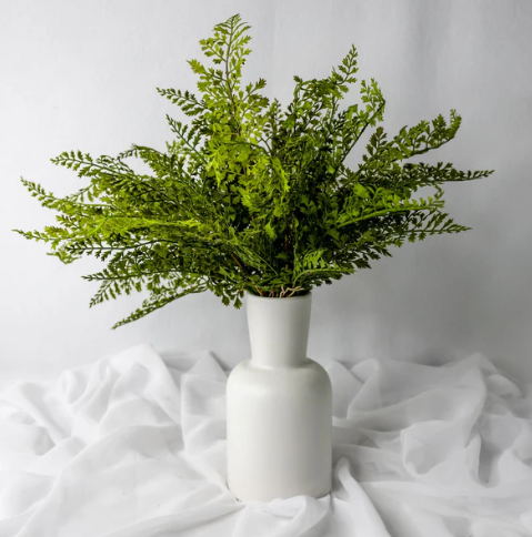 Maidenhair Fern - Realistic Artificial Flowers and Greenery