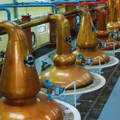 Grands alambics en cuivre dans une salle de distillation dans une distillerie écossaise