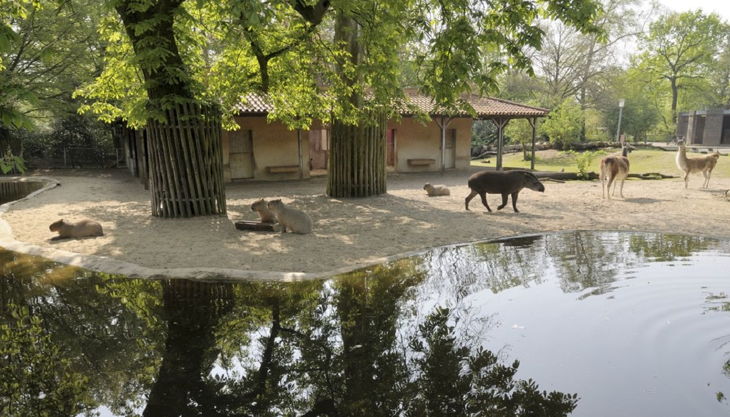 zoo krefeld südamerika anlage