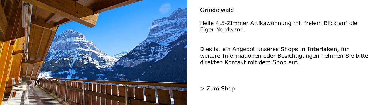 Zug
- Attikawohnung in Grindelwald