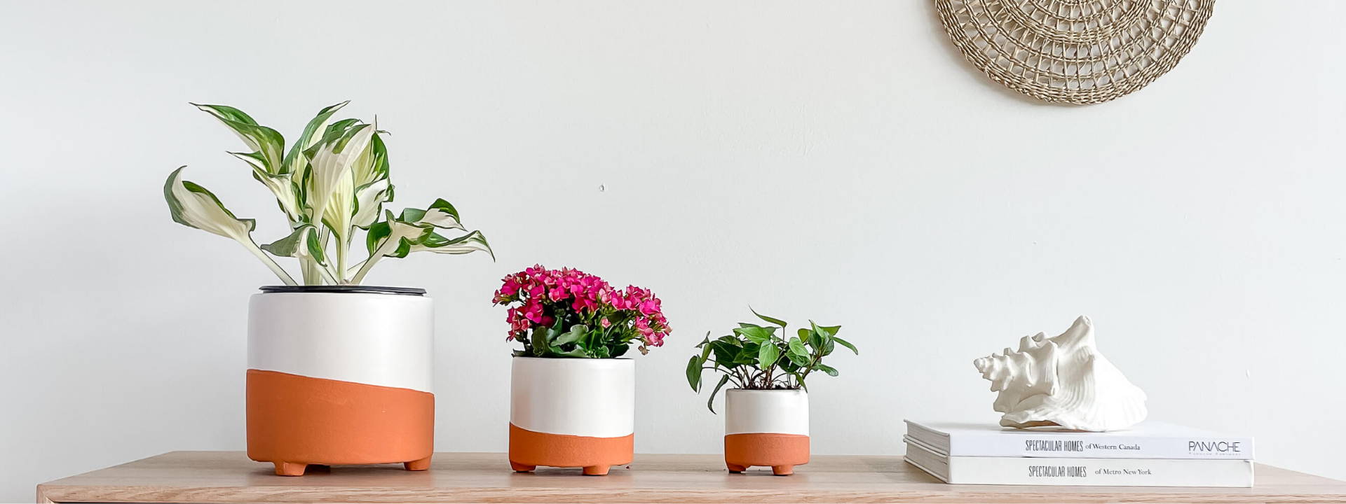 Hycroft Home Decor - Handmade Ceramic Tabletop Planters