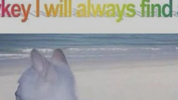 Main Content Image