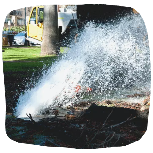 Sewer Plumbing Woollahra