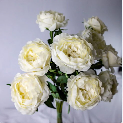 Pale Peach Real Touch Open Bud Roses - Realistic Artificial Flowers