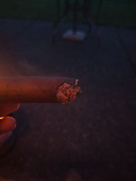 Cigar Session Photo
