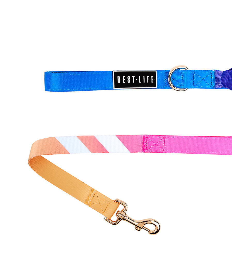 Best Life Leashes The Symbol For Rescue Dogs