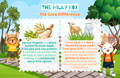 The Core Difference | The Milky Box