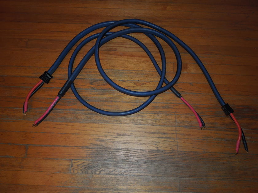 PS Audio Statement Speaker Cable (Single wire)