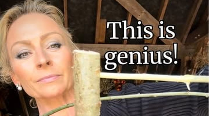 Main Content Image