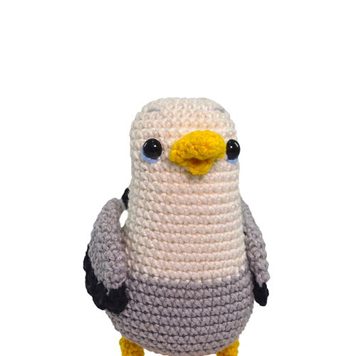 Seagull