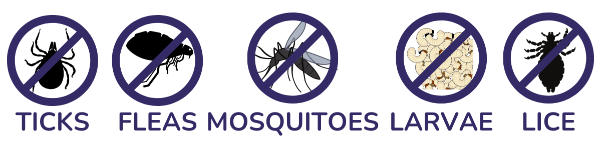Ticks - Fleas - Mosquitoes - Larvae - Lice