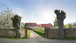 hofgut graue presse eingang